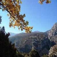 أفضل العروض ل  بيرج