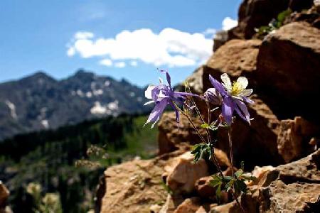 أفضل العروض ل بلاس اياجل فندق سويتس إاجل