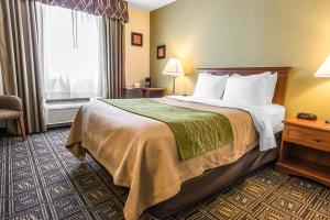 Best offers for COMFORT INN Weirton