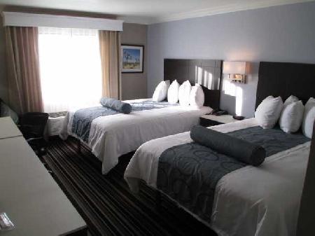 Best offers for PLUS DIAMOND VALLEINN Hemet