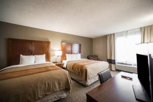 Best offers for Comfort Inn & Suites 