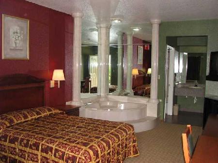 أفضل العروض ل ب يودجىن هيوستون