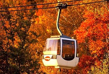 Best offers for LES FALAISES SKI-IN SKI-OUT CONDO Mont Tremblant