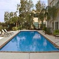 أفضل العروض ل  بيلوكسي 