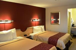 أفضل العروض ل رد روين سانانتونيو لاكلاند سانانتونيو 