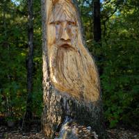 Best offers for CABINS AT GRAND MOUNTAIN BY THOUSAND HILLS RESORT Branson 