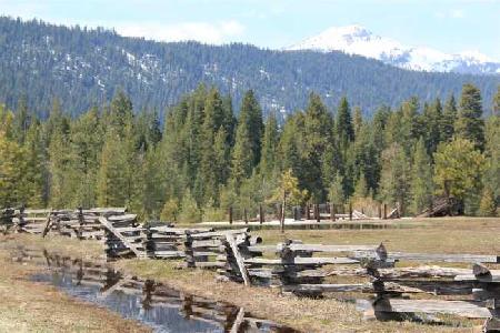 أفضل العروض ل تريلسيين سوسانفيل