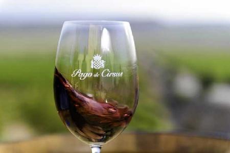 Best offers for DOMUS SELECTA PAGO DE CIRSUS Ablitas