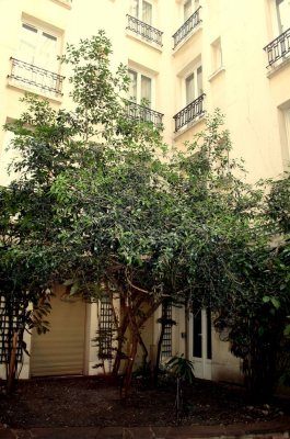 Best offers for HÔTEL EIFFEL BLOMET Paris