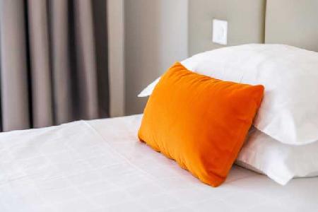 Best offers for Negresco Nice