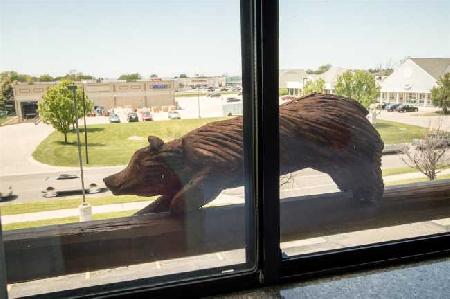 Best offers for BEST WESTERN PLUS HOLLAND INN & SUITES Holland 