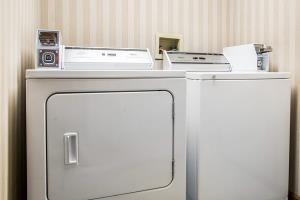 أفضل العروض ل  فان ورت 