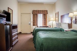 أفضل العروض ل ك يواليتييان ويكي واتشي