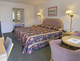 أفضل العروض ل ترافلودجى بركلاي بركلاي