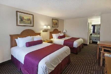 Best offers for BRADINN Brady 