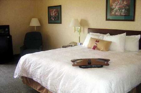 أفضل العروض ل  تروي 