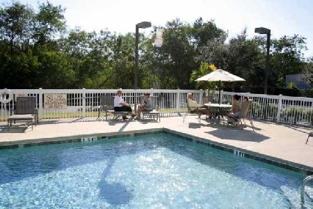 أفضل العروض ل  تامبا