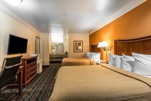 أفضل العروض ل ك يواليتييان لاك إيلسينور