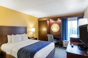 Best offers for COMFORT INN & SUITES Delaware 