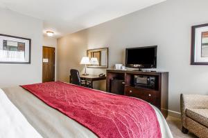 أفضل العروض ل  سكوتسبورو 