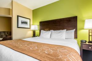 Best offers for COMFORT SUITES Jackson 