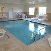 أفضل العروض ل  ماجنوليا 