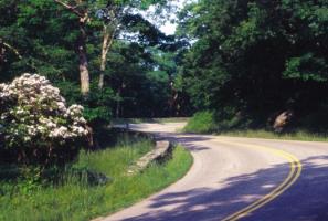 أفضل العروض ل  دورهام 