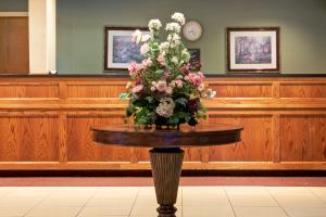 Best offers for SUPER 8 MOTEL RALEIGH NORTH EAST Plano