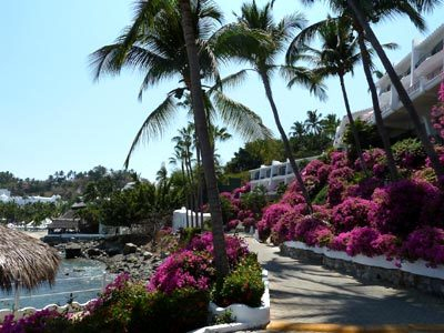 Best offers for DOLPHIN COVE INN Manzanillo