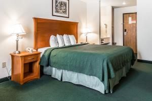 أفضل العروض ل  كيرناي 