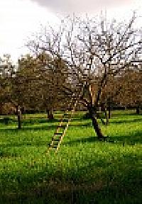 Best offers for La Casa Del Abuelo Aracena