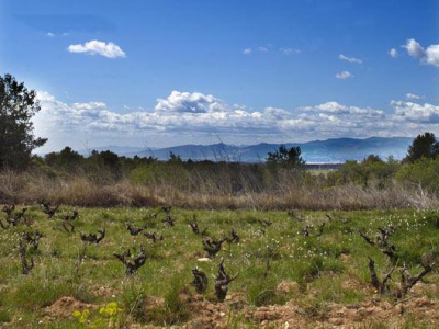 أفضل العروض ل  ايغوامورسيه