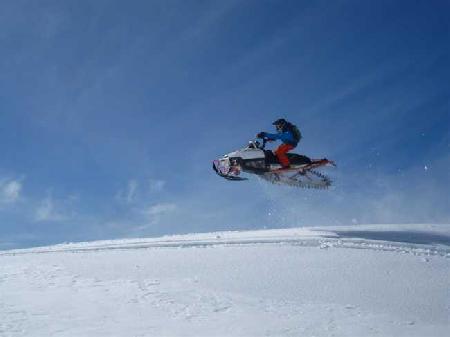 أفضل العروض ل بست وسترن سيكاماوسان - ستاندارد سيكاموس