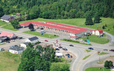 أفضل العروض ل كواستالانانتيجونيش - ستاندارد انتيجونيش