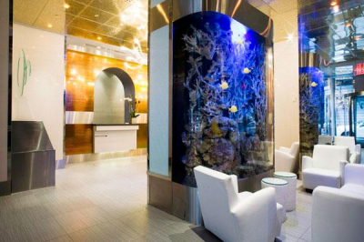 Best offers for Stay New York