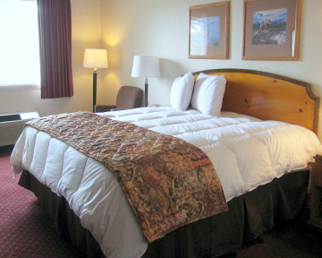 Best offers for Gray Wolf Inn and Suites West Yellowstone 