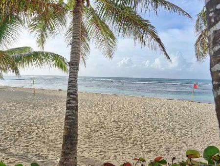 Best offers for Coral Costa Caribe All Inclusive Beach Resort Juan Dolio Beach