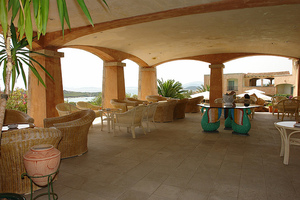 أفضل العروض ل كلاب بترا بيانكا كالا دي فولب