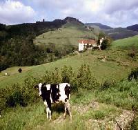 Best offers for Agerresoro   Haundi Aia