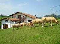 أفضل العروض ل منزل ييكاوري بيره  فيره دي بيداسوه