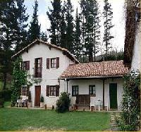 Best offers for Perrenku - Perrencu Marquina