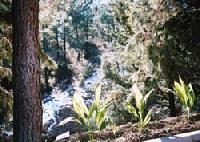 Best offers for Cabaña de Luis Huetor-Santillan