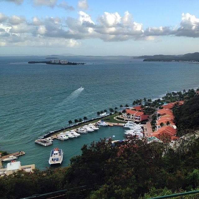 أفضل العروض ل ل كونك يويستادور فاجاردو