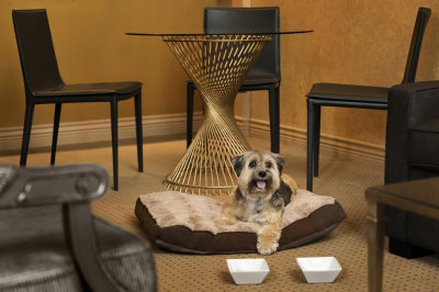 Best offers for Executive Le Soleil NORTH VANCOUVER