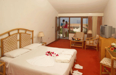 Best offers for Dedeman Olive Tree Kerynia