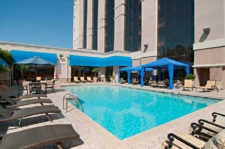 Best offers for HILTON JACKSON Jackson 