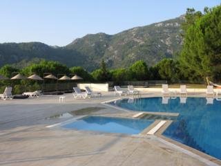 أفضل العروض ل  مارماريس