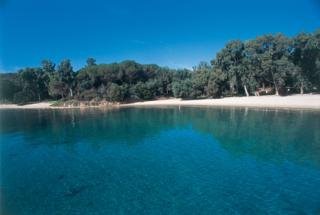 Best offers for RESIDENCE IL MIRTO Olbia