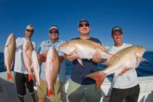 Best offers for HOLIDAY INN EXPRESS MARATHON Marathon 