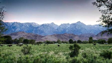 أفضل العروض ل  برنتوود